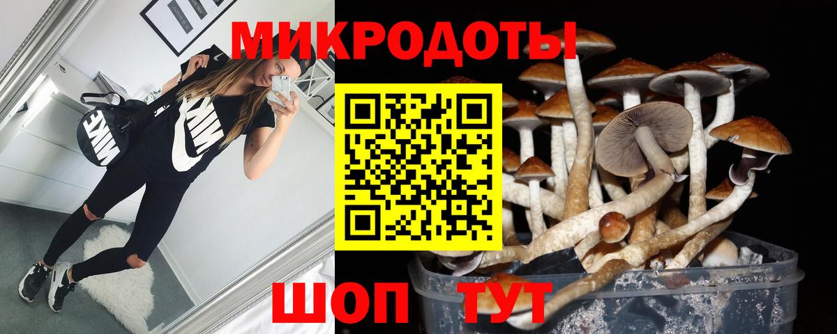 Костомукша  Галлюциногенные грибы мицелий  Вход с VPN 